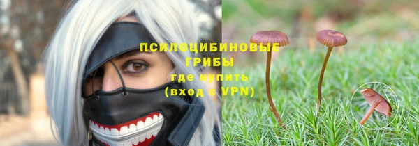 гидра Алексин