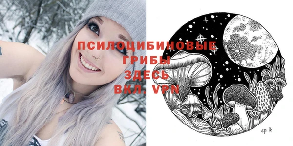 mdpv Алзамай