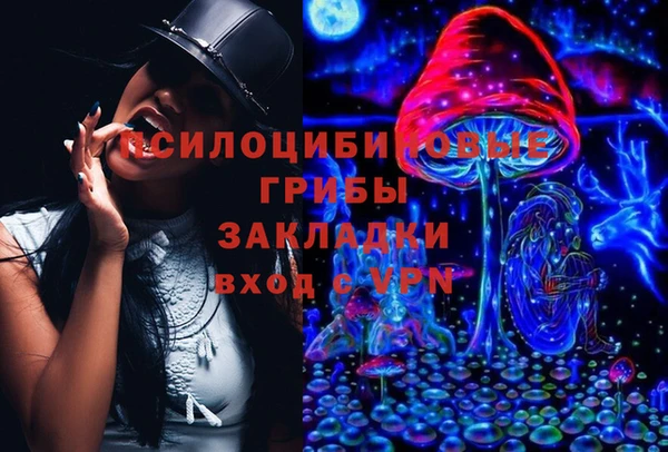 гидра Алексин