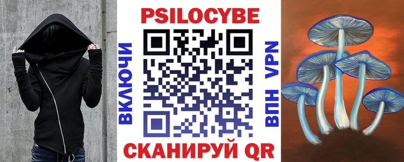 закладки  Новошахтинск  Галлюциногенные грибы GOLDEN TEACHER 